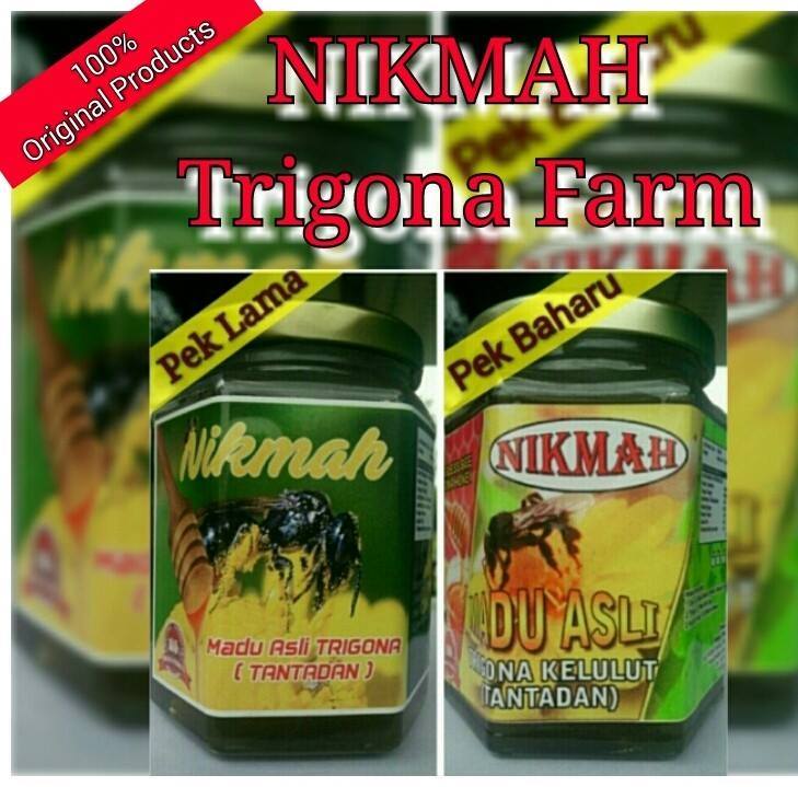 Nikmah trigona3